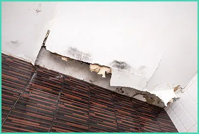 West Palm Beach Restoration Company West Palm Beach, FL 561-404-8238 - home-cont-wgr-39