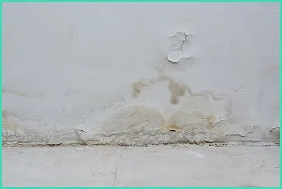 West Palm Beach Restoration Company West Palm Beach, FL 561-404-8238 - water-damage-content-wgr-39